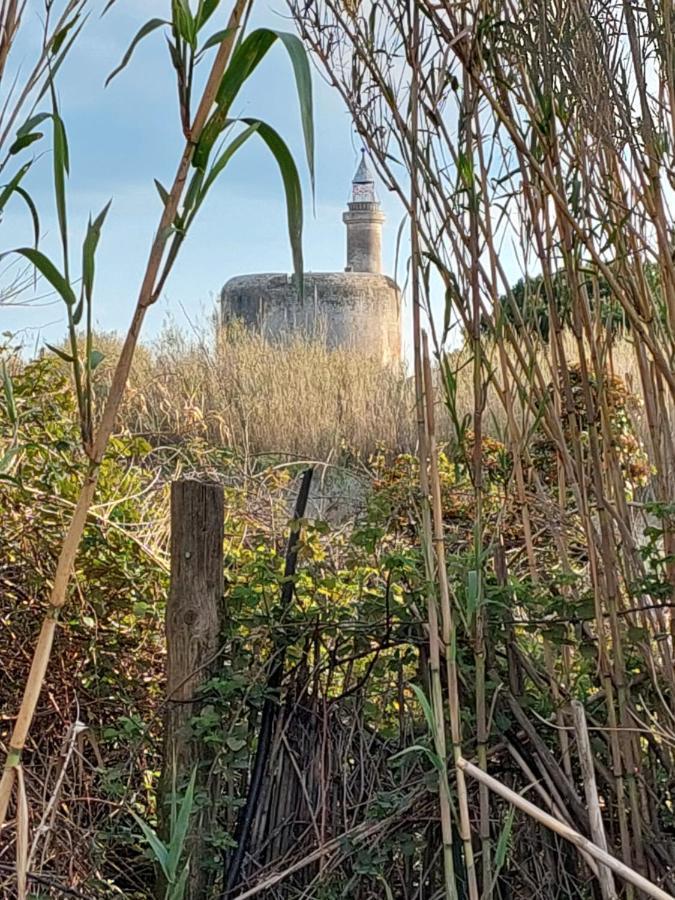 11 Le Tadorne Lägenhet Aigues-Mortes Exteriör bild
